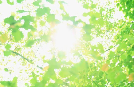 三軒茶屋で便秘・お腹の張りにお悩みの方へ｜腸もみ・赤岩式腸削り®Emily